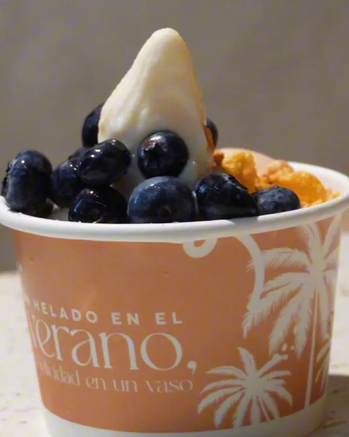 Vaso de verano con helado y arándanos